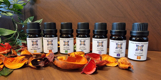 7 Chakra Essential Oils Set